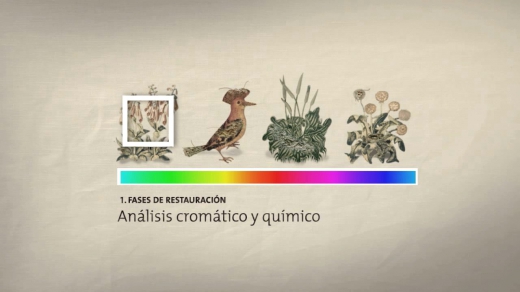 VIDEO EXPLICATIVO RESTAURACIÓN