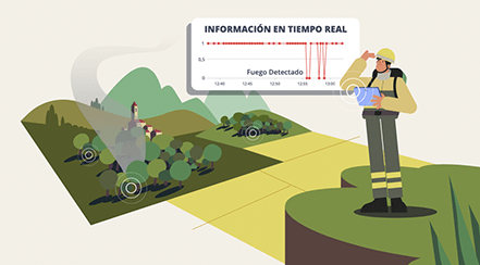 Video explicativo – Proyecto SenForFire